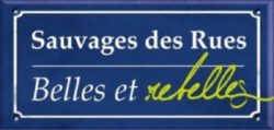 Lancement de l'exposition "Sauvages des Rues, Belles et Rebelles"